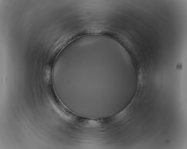 X0000114700166200911121548