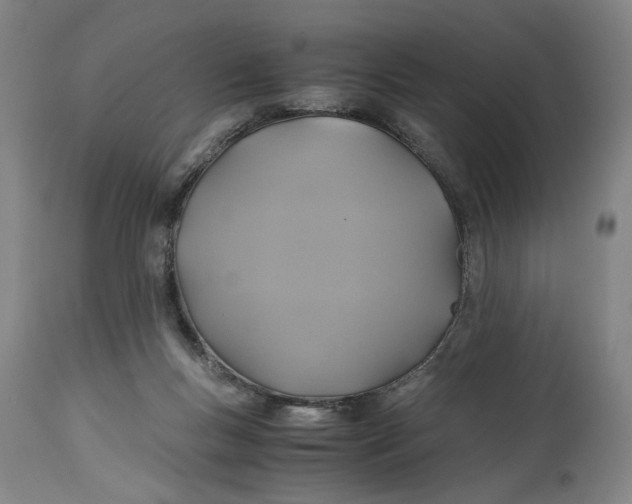 X0000114700167200911121548