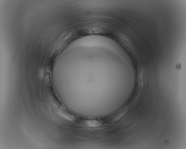 X0000114700169200911121548