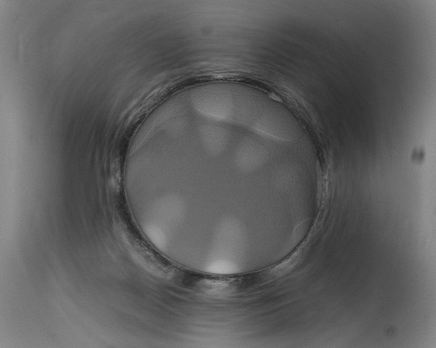 X0000114700170200911121548