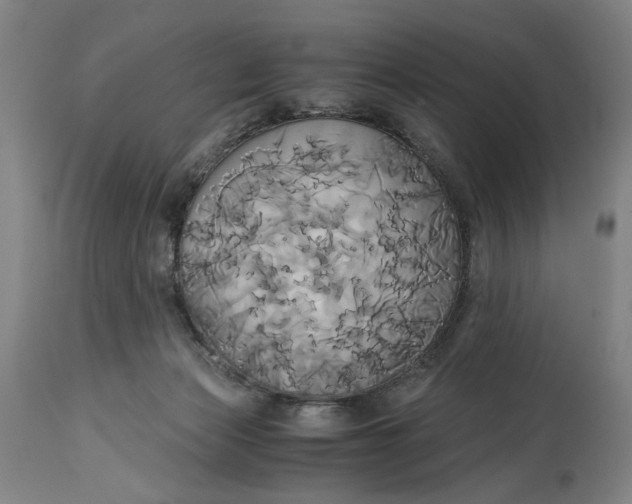 X0000114700173200911121548