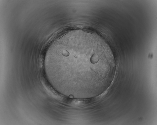 X0000114700174200911121548