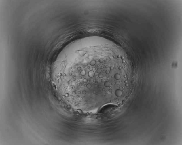 X0000114700175200911121548