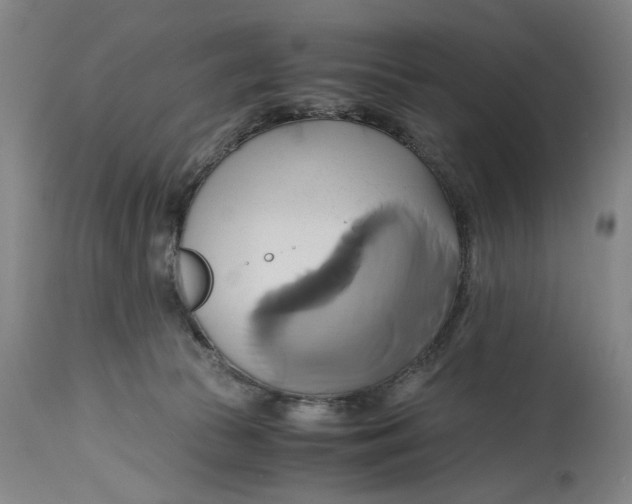 X0000114700177200911121548