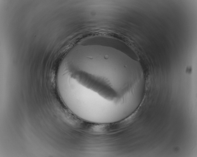 X0000114700178200911121548