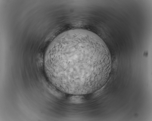 X0000114700179200911121548