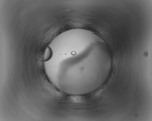 X0000114700181200911121548