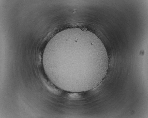 X0000114700183200911121548