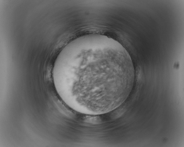 X0000114700185200911121548