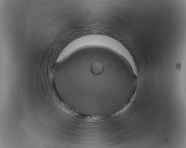 X0000114700186200911121548