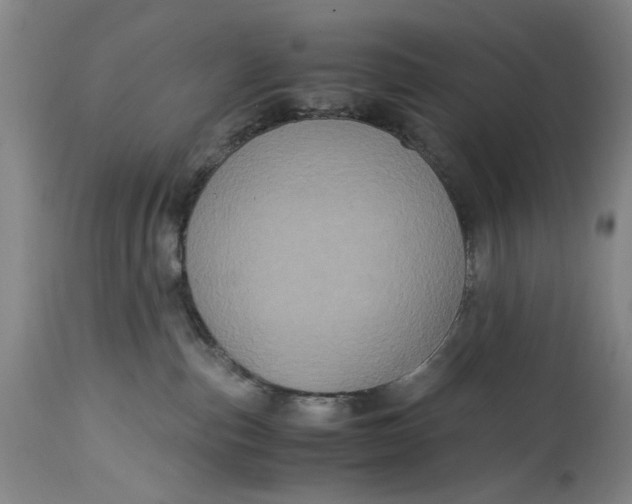 X0000114700187200911121548