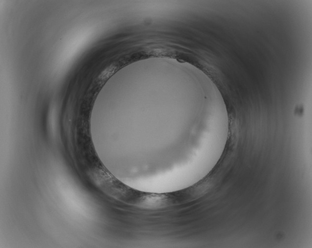 X0000114700189200911121548