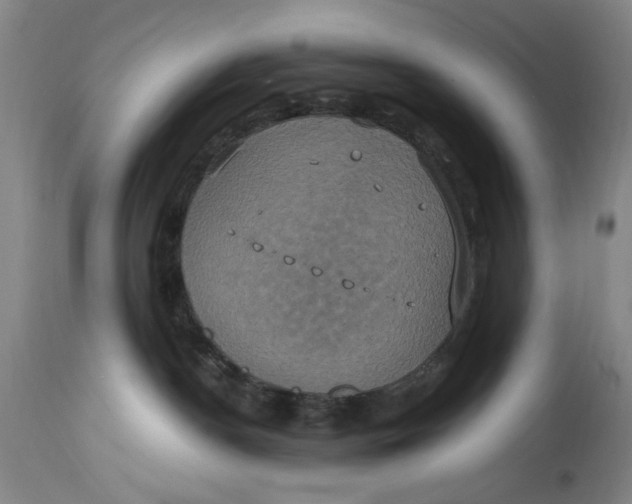 X0000114700190200911121548