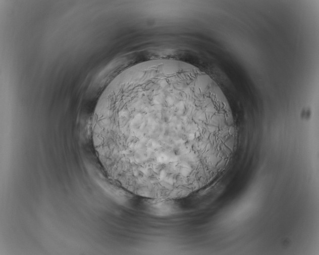 X0000114700191200911121548