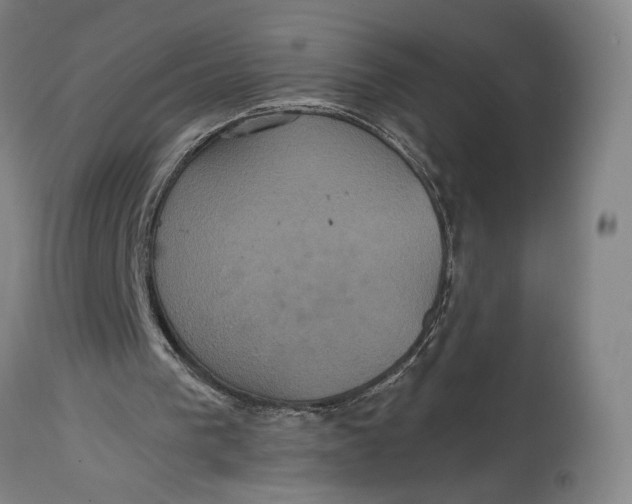 X0000114700193200911121548