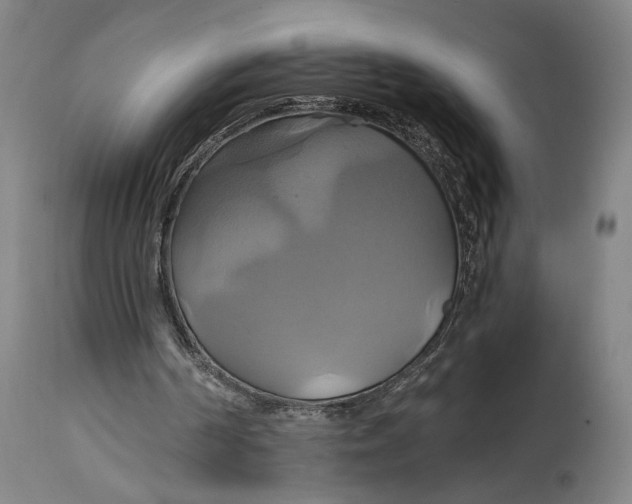 X0000114700194200911121548