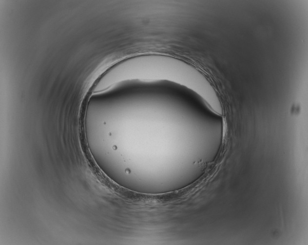 X0000114700195200911121548