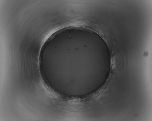 X0000114700196200911121548