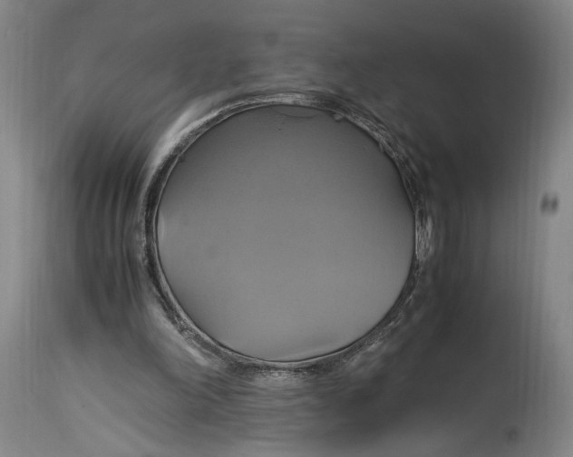 X0000114700198200911121548