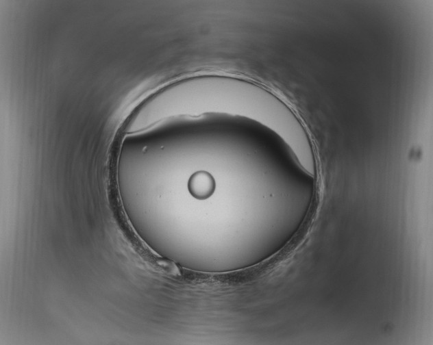 X0000114700199200911121548