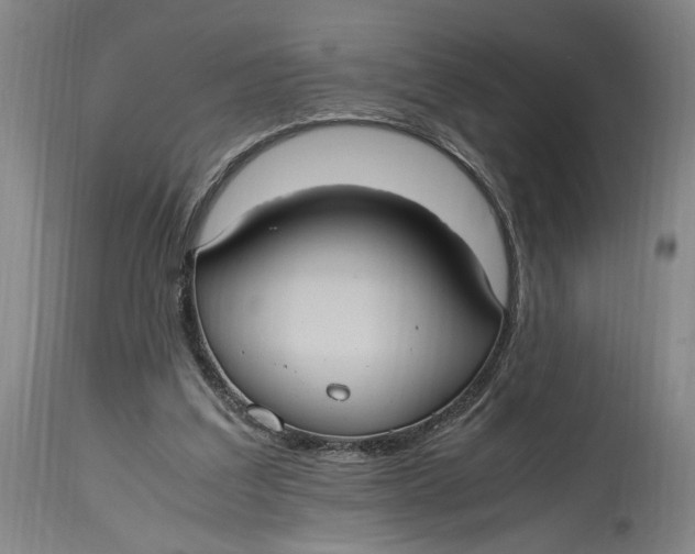 X0000114700203200911121547