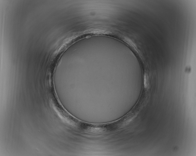 X0000114700205200911121547