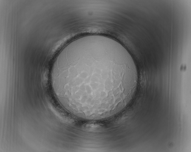 X0000114700208200911121547