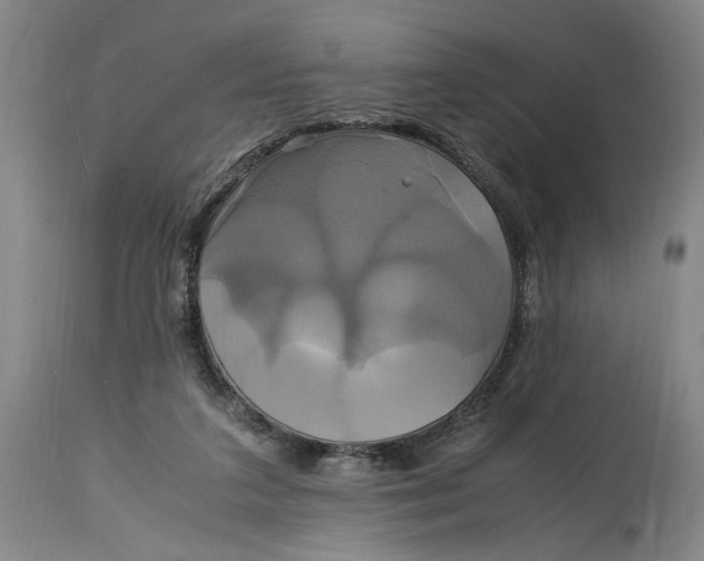 X0000114700211200911121547