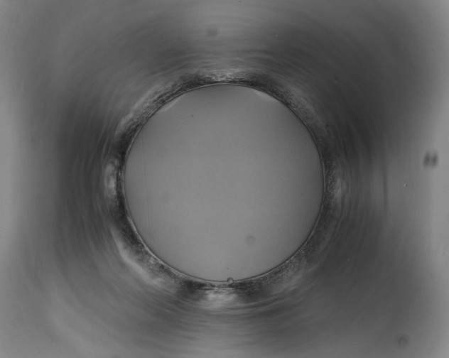 X0000114700214200911121547