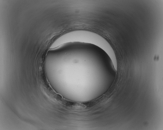 X0000114700215200911121547