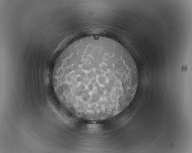 X0000114700216200911121547