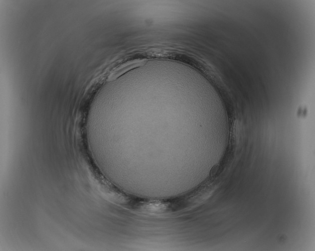 X0000114700217200911121547