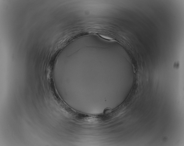 X0000114700219200911121547