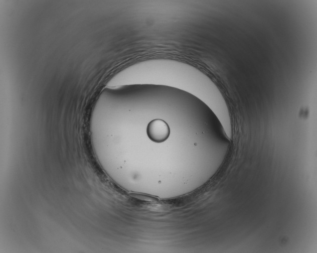 X0000114700221200911121547