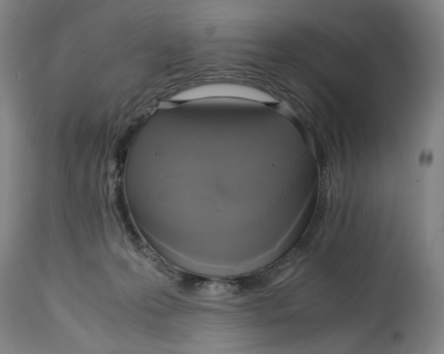 X0000114700223200911121547