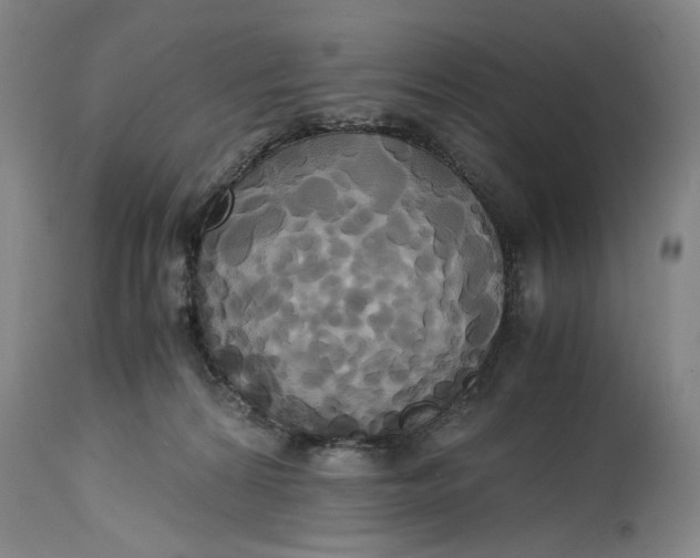 X0000114700224200911121547