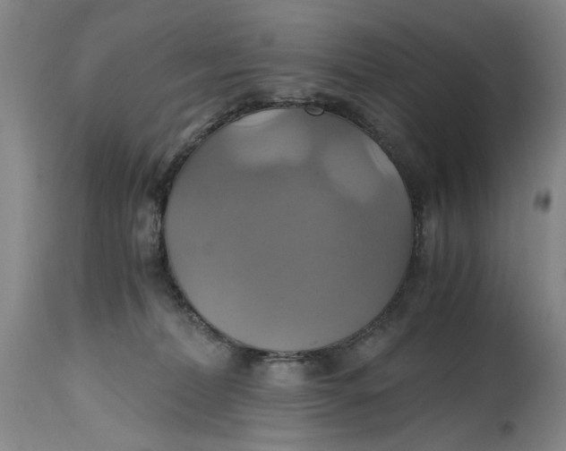 X0000114700228200911121547