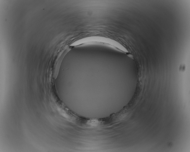 X0000114700231200911121547