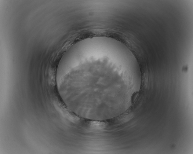 X0000114700234200911121547