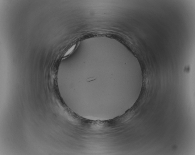 X0000114700235200911121547