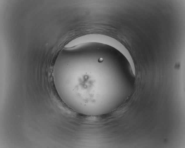 X0000114700237200911121547