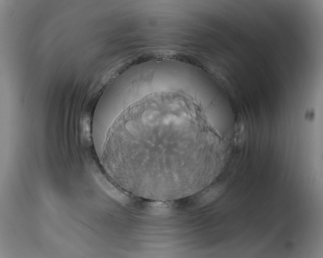 X0000114700238200911121547