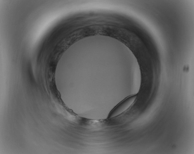 X0000114700239200911121547