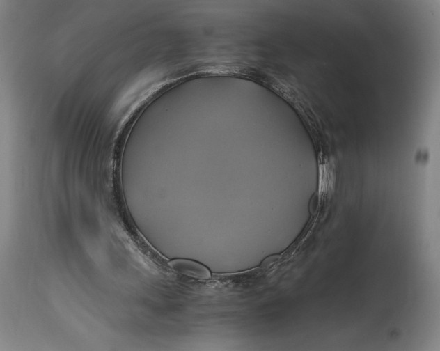 X0000114700243200911121546