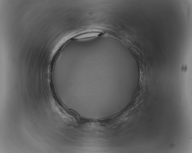 X0000114700244200911121546