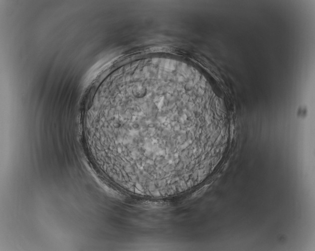 X0000114700245200911121546