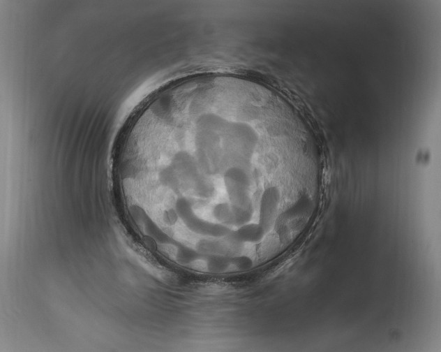 X0000114700246200911121546