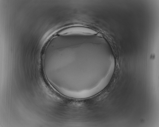 X0000114700247200911121546