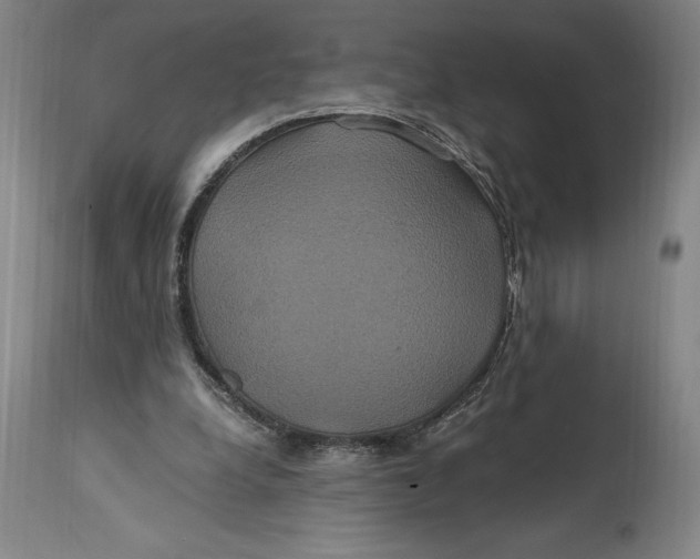 X0000114700248200911121546