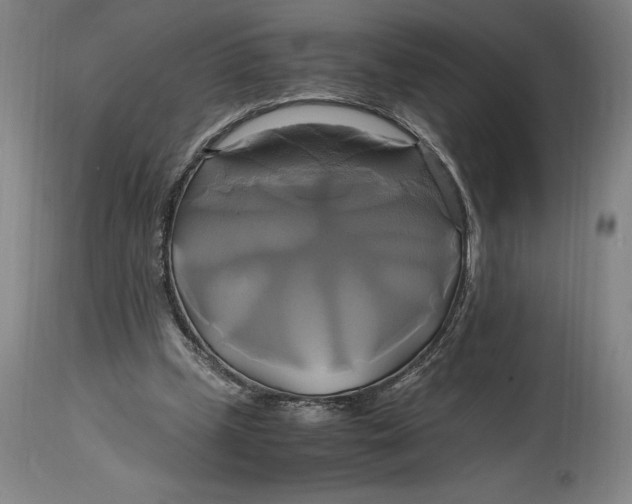 X0000114700249200911121546